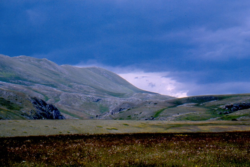 Copia di scansione0003.jpg