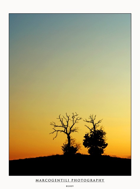 Copia di When someone love forever.jpg