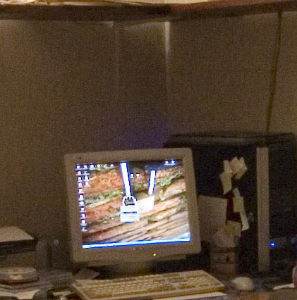 crop100a3200.jpg