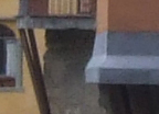 crop1.jpg