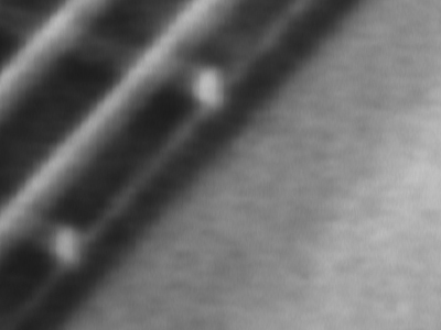 crop1.jpg