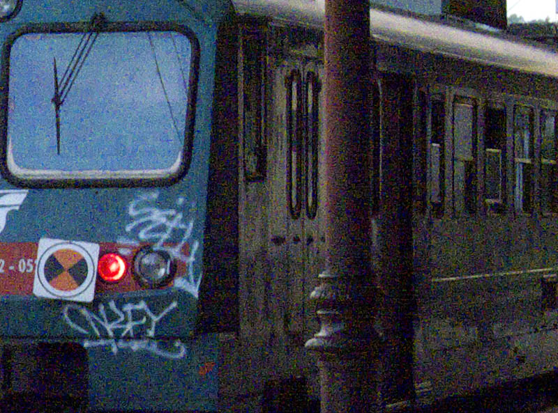 crop800.jpg