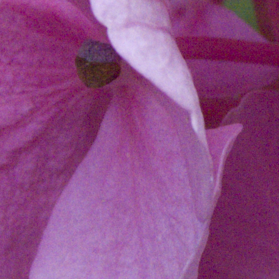 crop_400iso.jpg