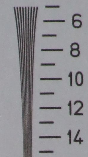 crop verticale.jpg
