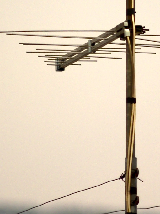 CRW_0004.jpg