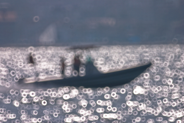 CRW_3028.jpg