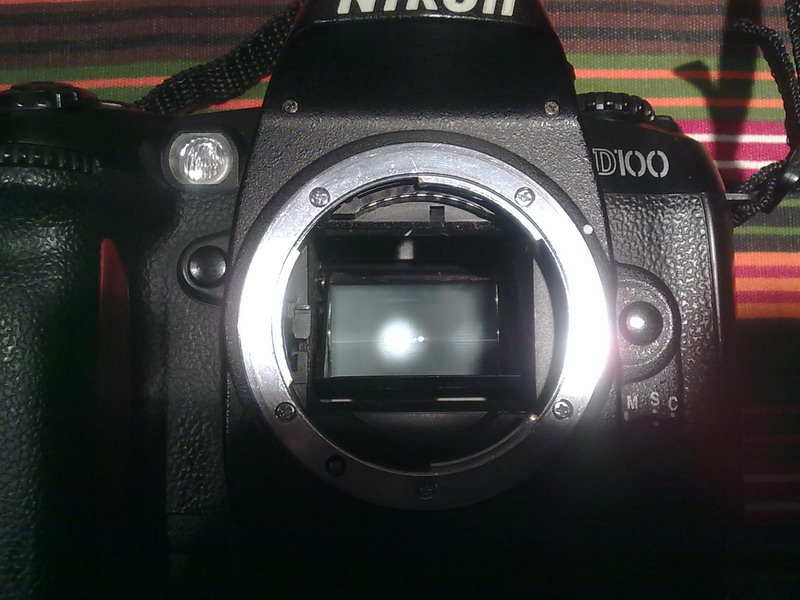 D100 int.jpg