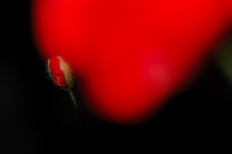 D f 5.6 - 1-60 di secondo.jpg