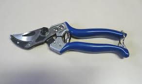 download forbici.jpg