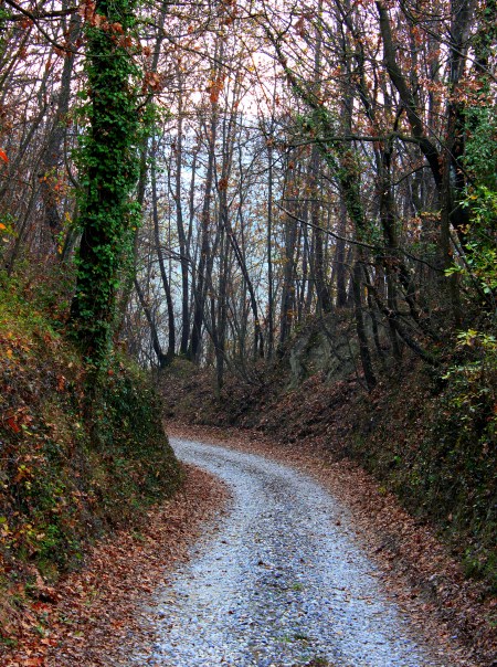 DPP_6157 (450 x 604).jpg