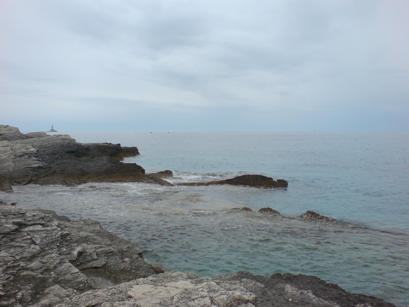 DSC00074.jpg