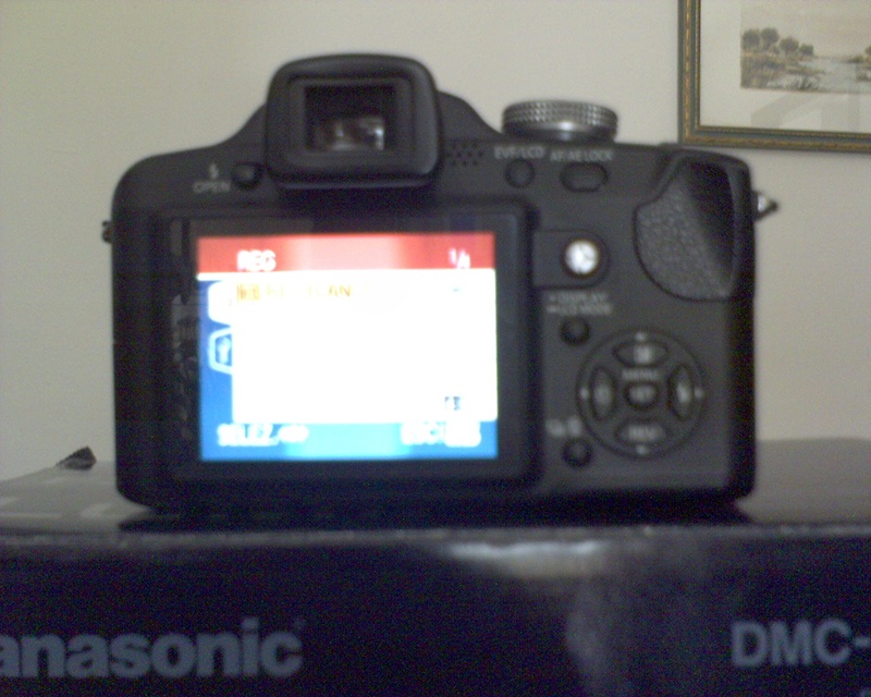 DSC00103new.JPG