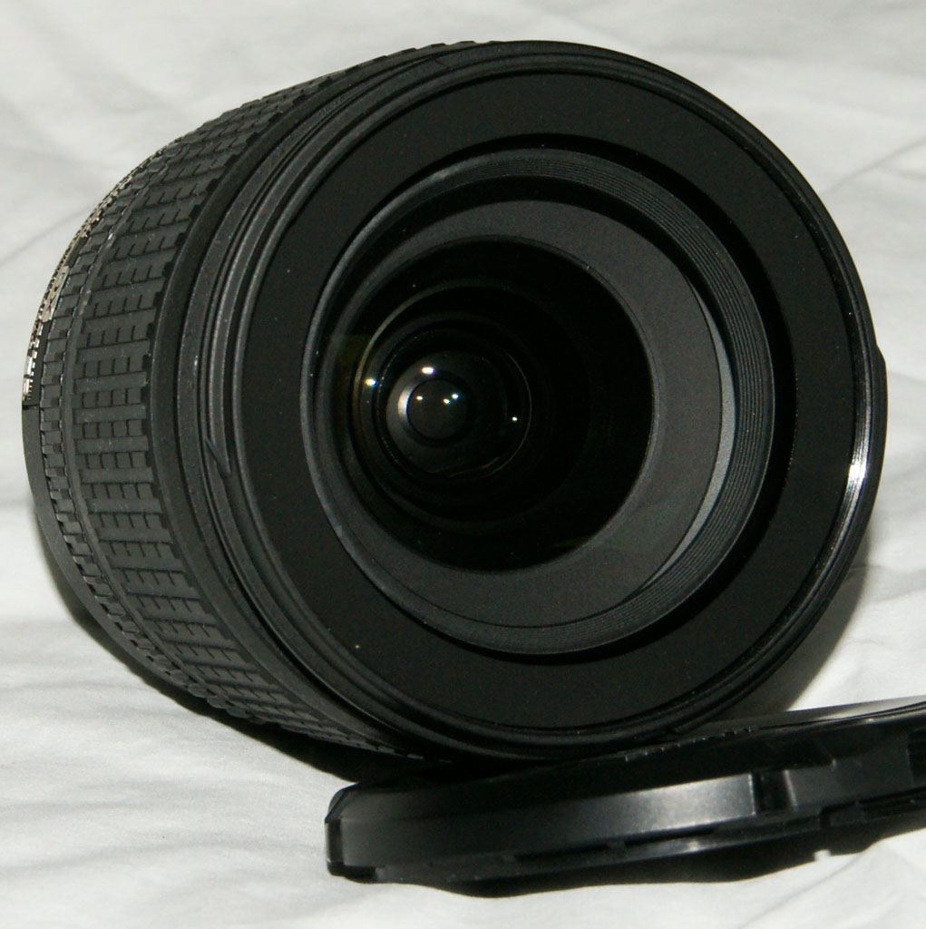 DSC00347_light.jpg
