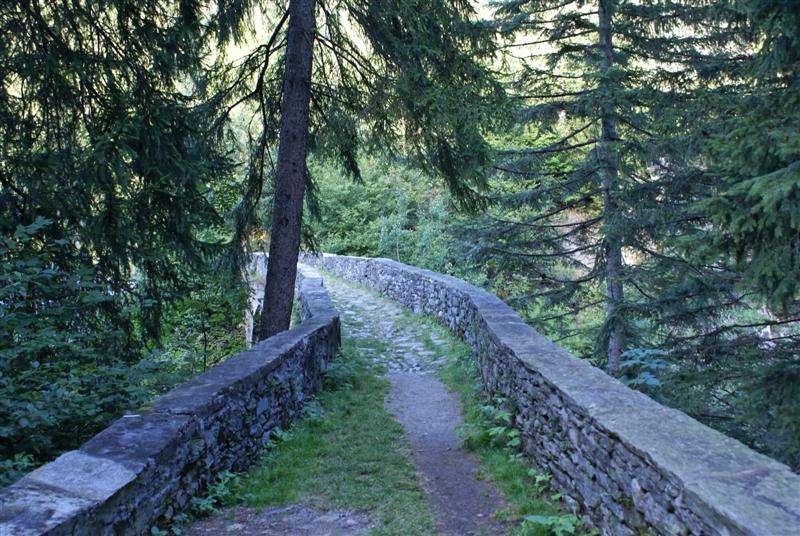 DSC00457_DXO (Medium).jpg