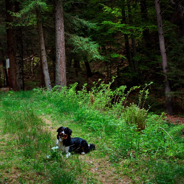 dsc0080x2.jpg