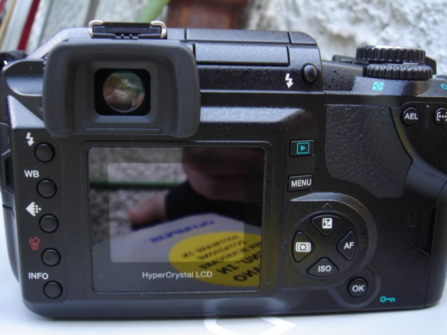 DSC01165b.jpg