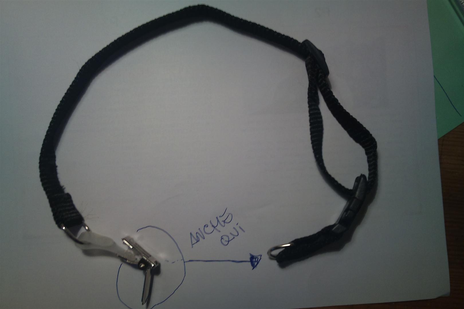 DSC02173 (Large).JPG