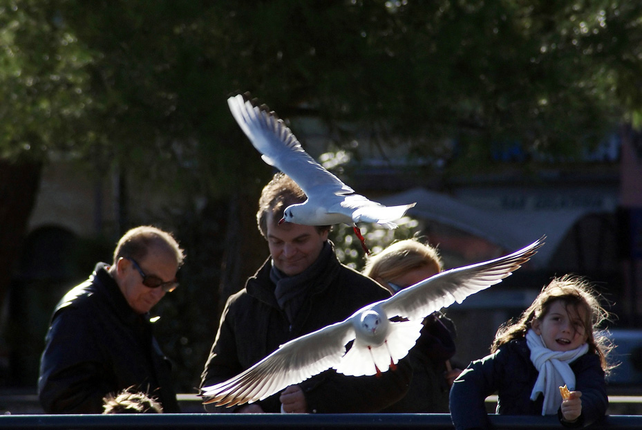 DSC05915_web2.jpg