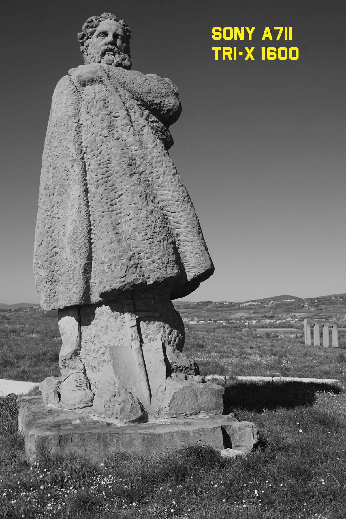 DSC09094r.jpg