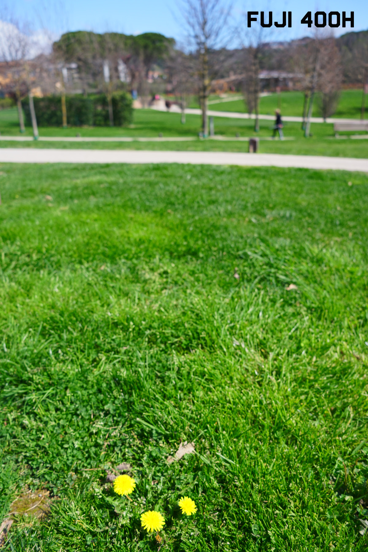 DSC09285r.jpg