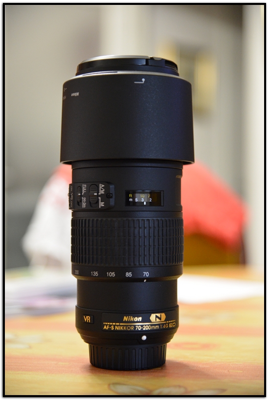 DSC_0002x.jpg