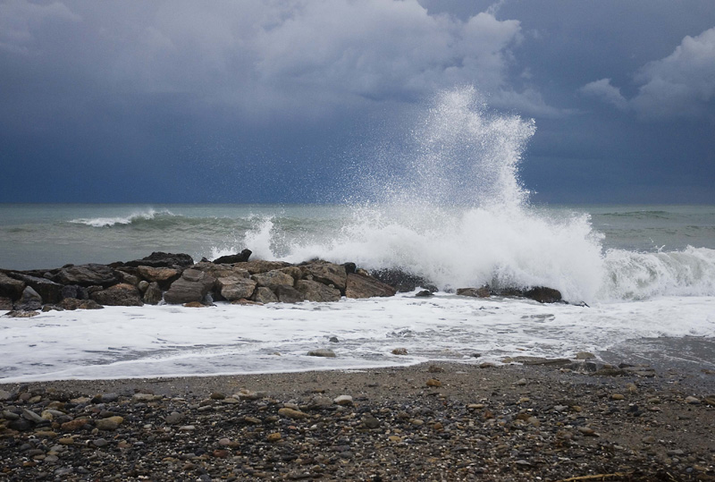 DSC_0061.jpg