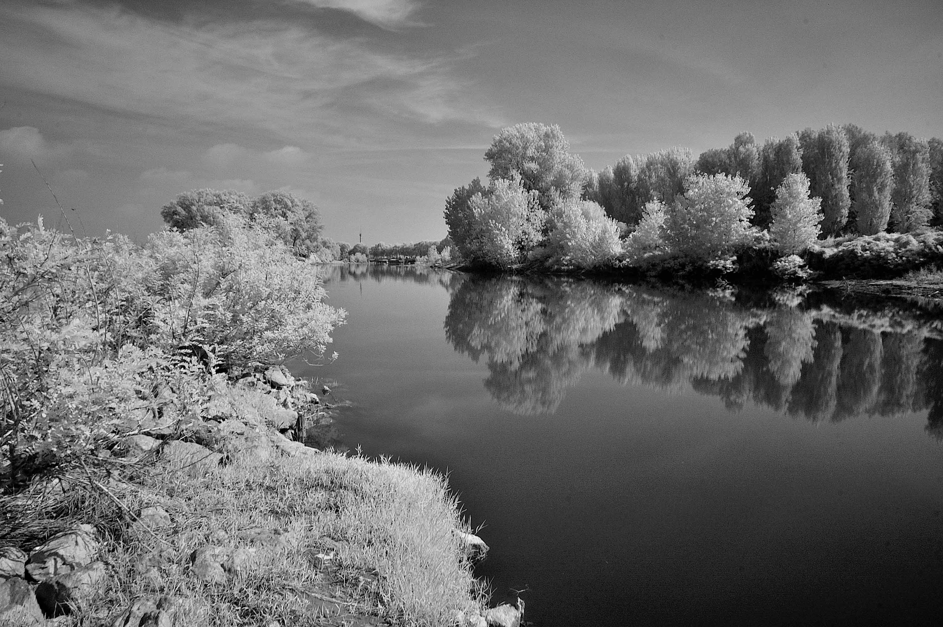 DSC_0585.JPG