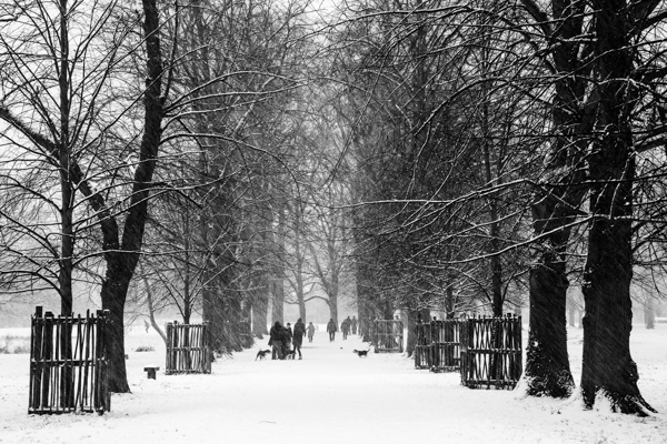 DSC_0888.jpg