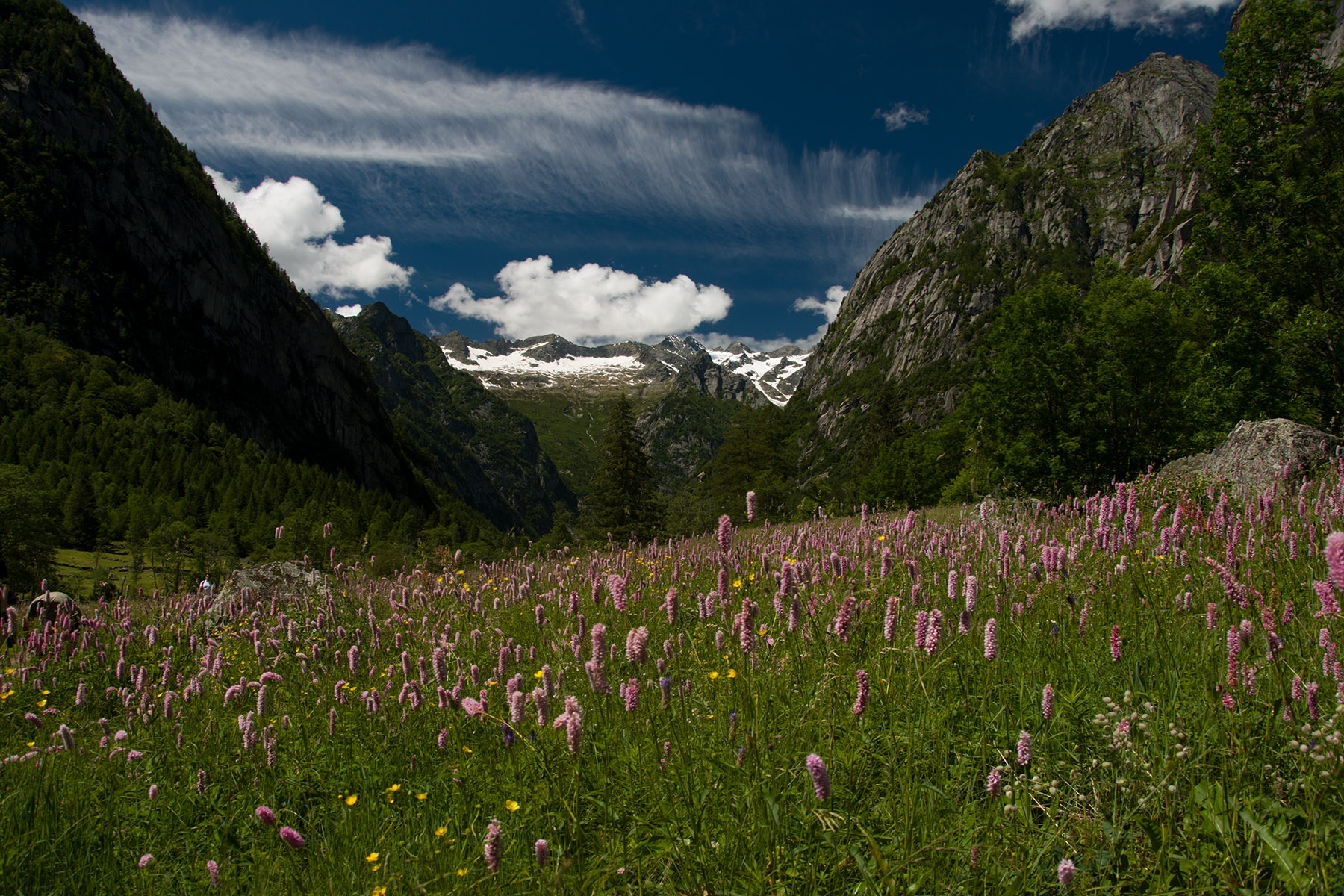 DSC_0987b.jpg