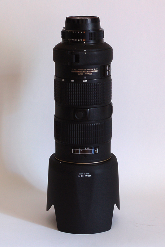 DSC_1479br.jpg
