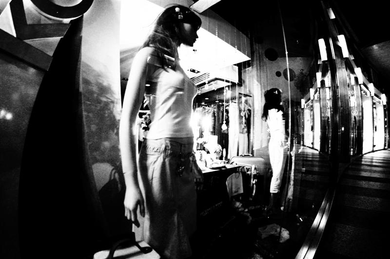 DSC_1556 (Medium).JPG