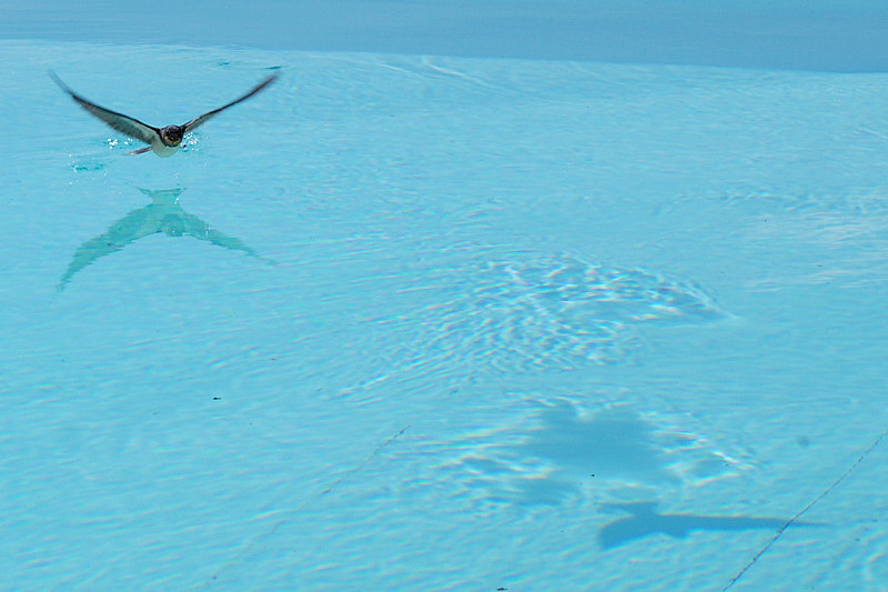 DSC_2605.jpg