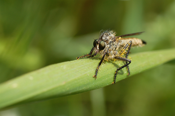 DSC_2886.jpg