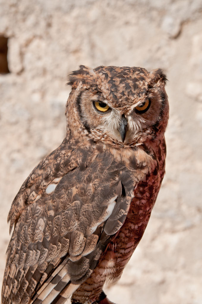 DSC_4164.jpg