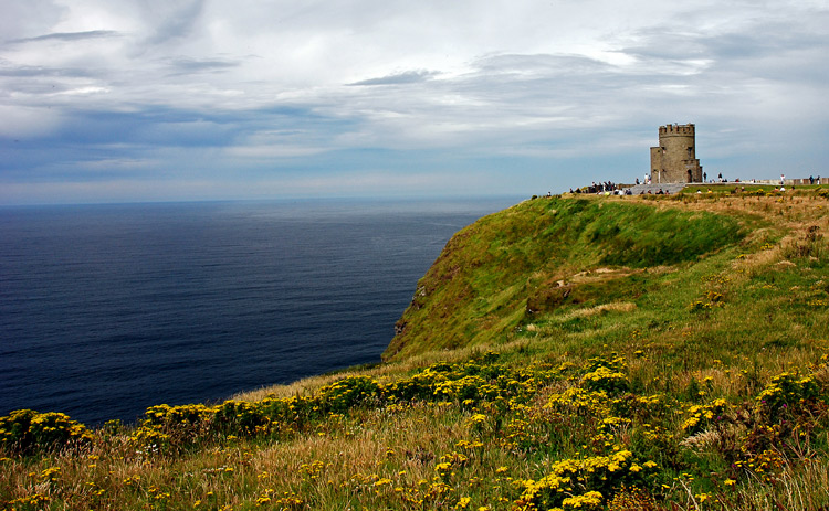 DSC_5564.jpg