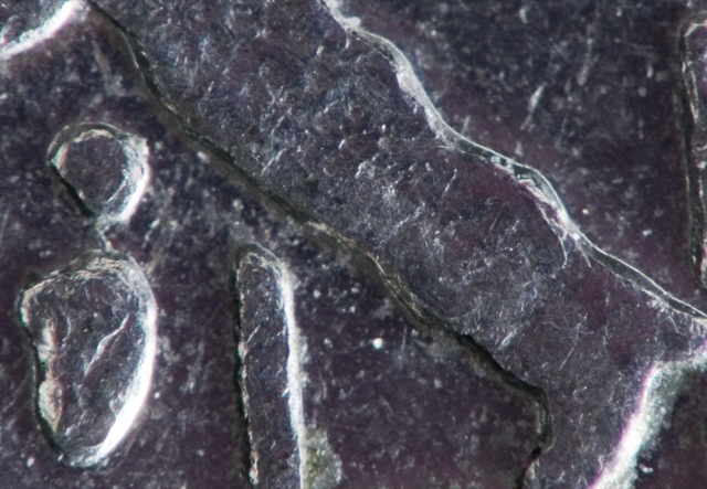 DSC_5643crop 2.jpg