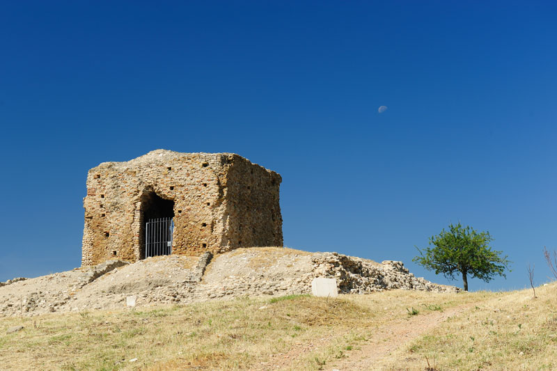 DSC_5872.jpg