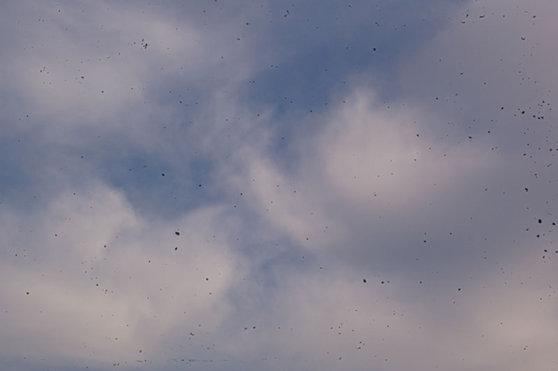 DSC_5968.jpg