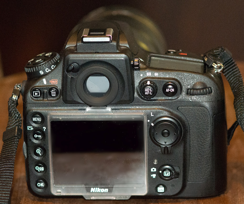 DSC_6393b.jpg