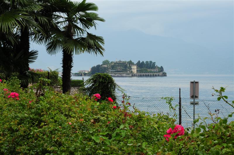 DSC_6909 (Medium).JPG