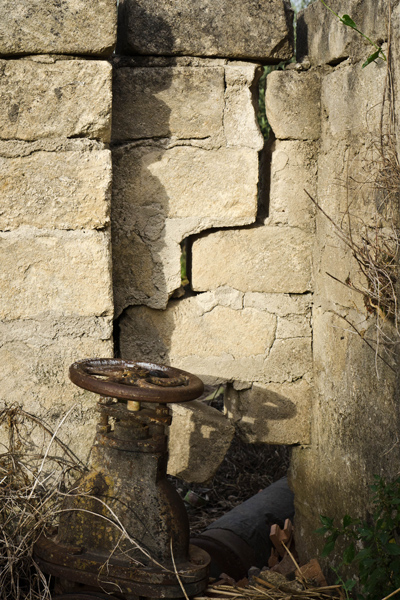 DSC_7485a.jpg