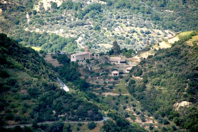 DSC_7926.JPG