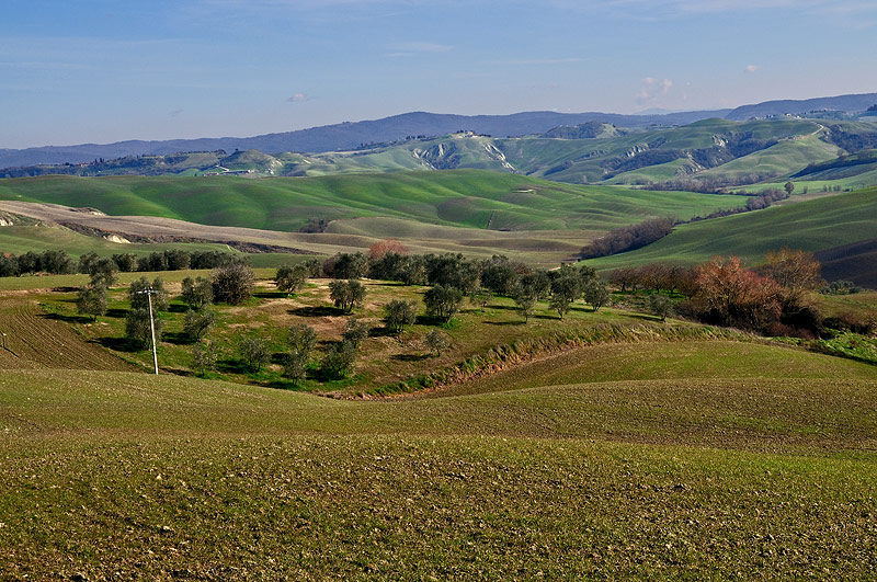 DSC_8187.jpg