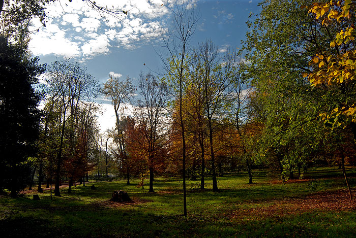 DSC_9279.jpg