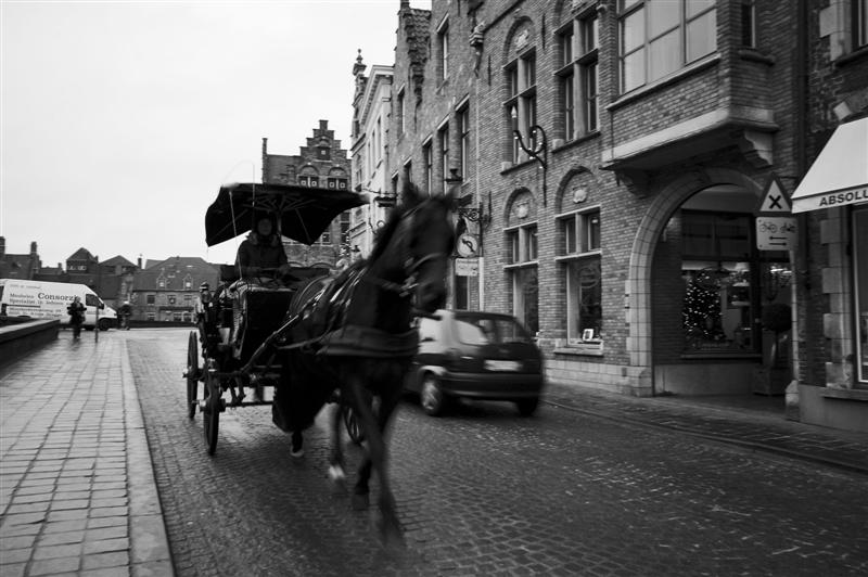 DSC_9399 (Medium).jpg