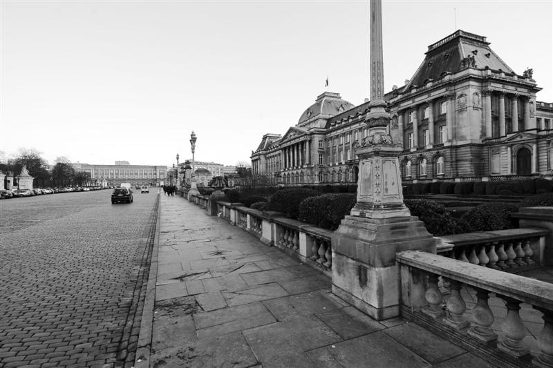 DSC_9498 (Medium).jpg