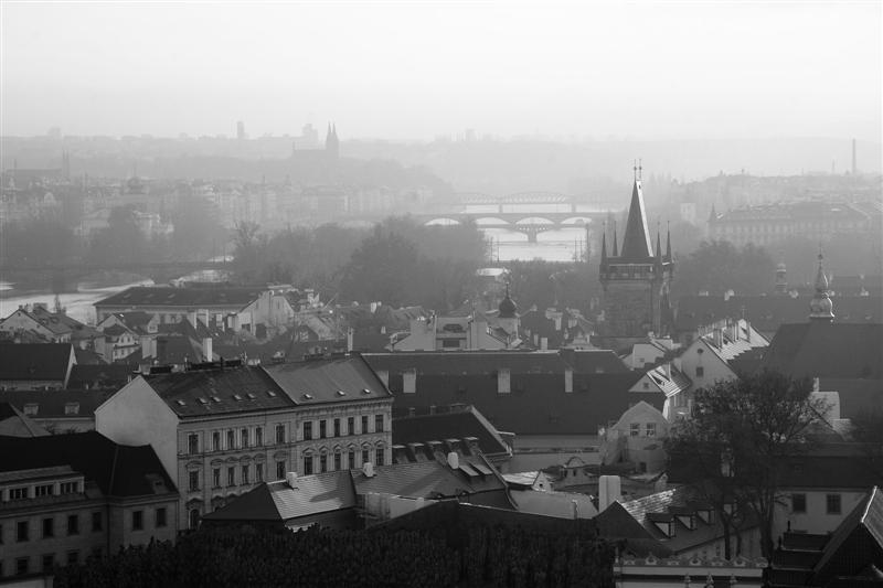 DSC_9939 (Medium).JPG