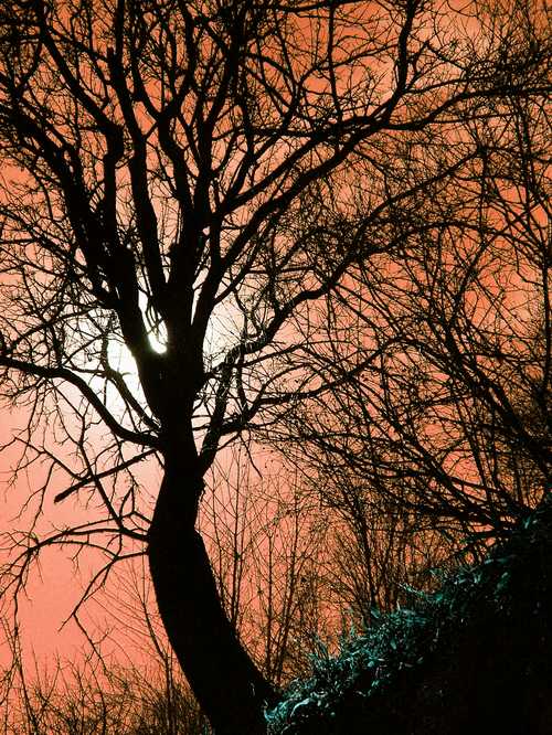 DSCF0652 ritoccata.JPG