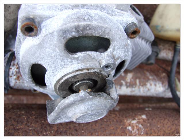 DSCF1857 (Small).jpg