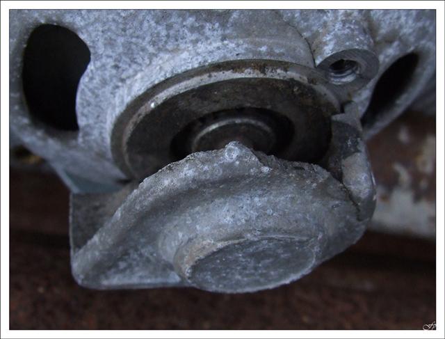 DSCF1858 (Small).jpg